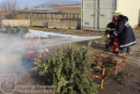 1_0333_bearbeitet_wz